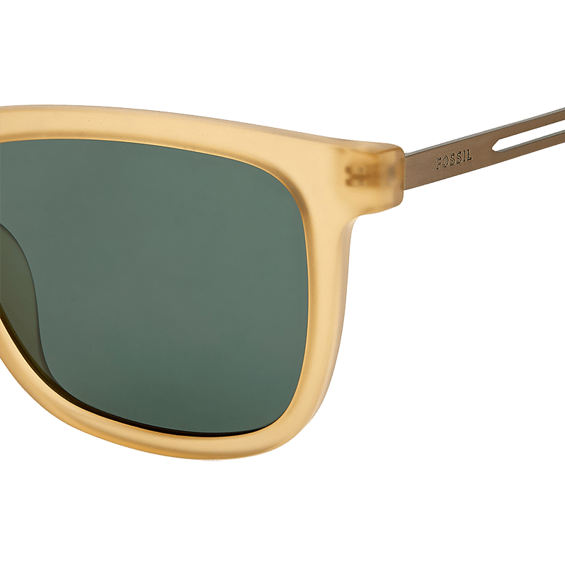 Captivated sunglasses for men