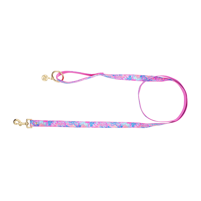 Dog Leash