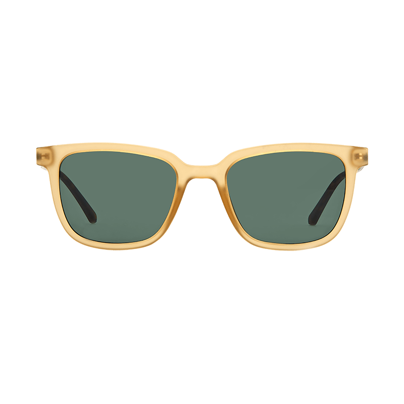 Captivated sunglasses for men