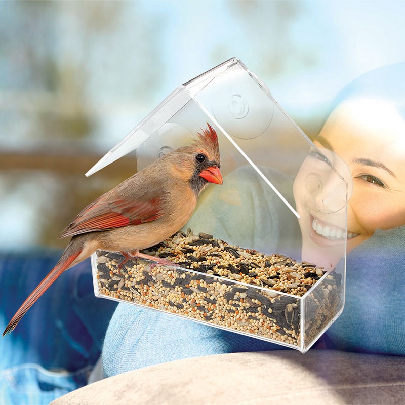 Window Bird Feeder