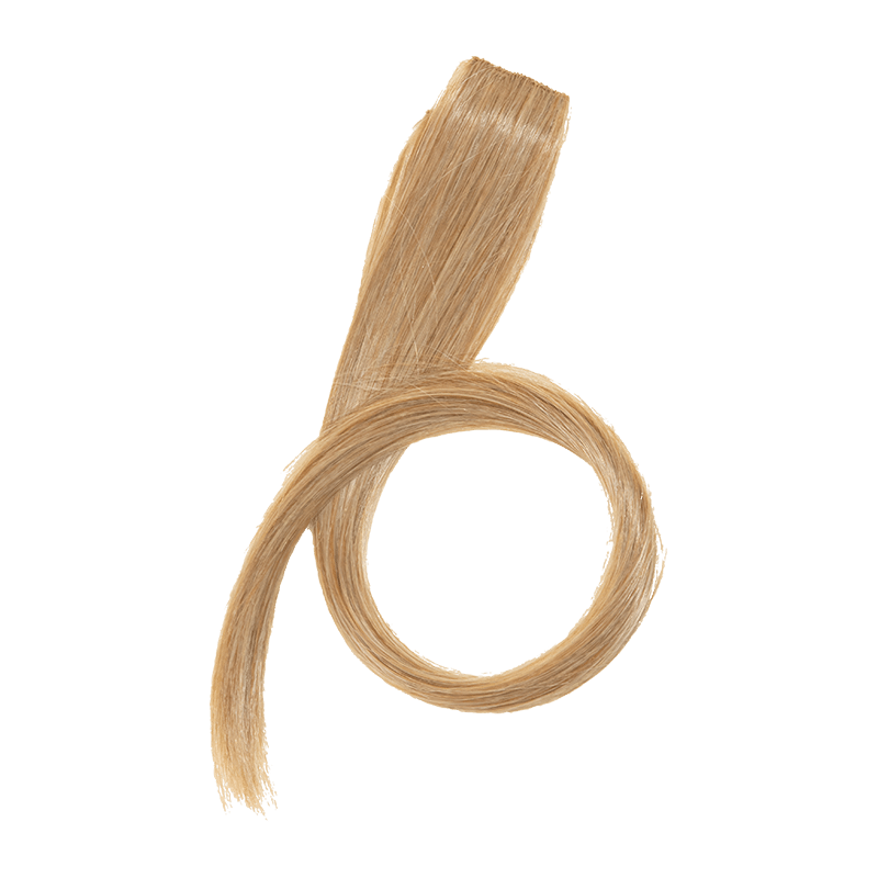 Hi-Lites Clip - Navy Blue