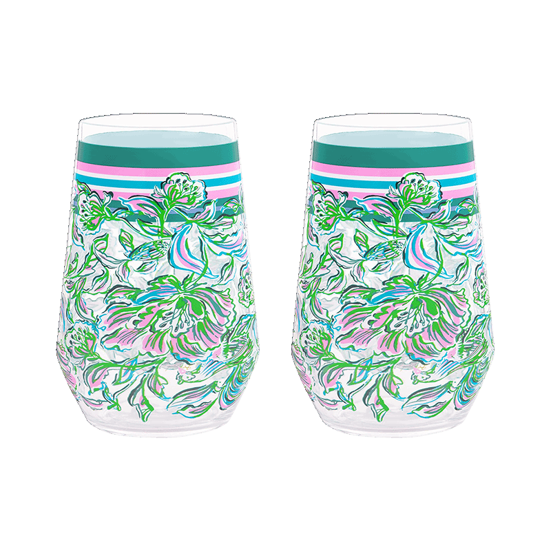 Acrylic Wine Glass Set