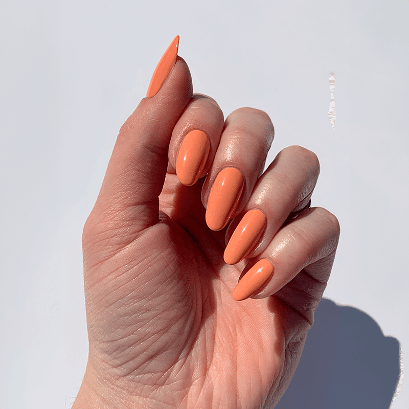 Lakur Trio - Hotel California