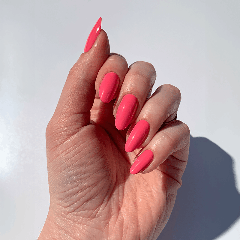 Lakur Trio - Hotel California