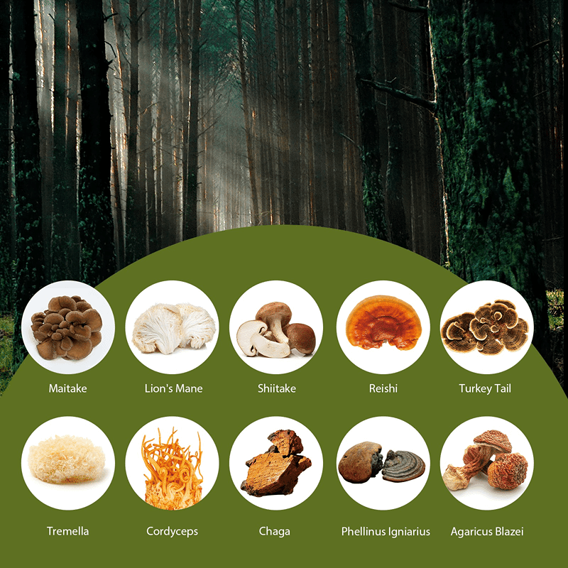 100g Ten Mushrooms Instant Coffee