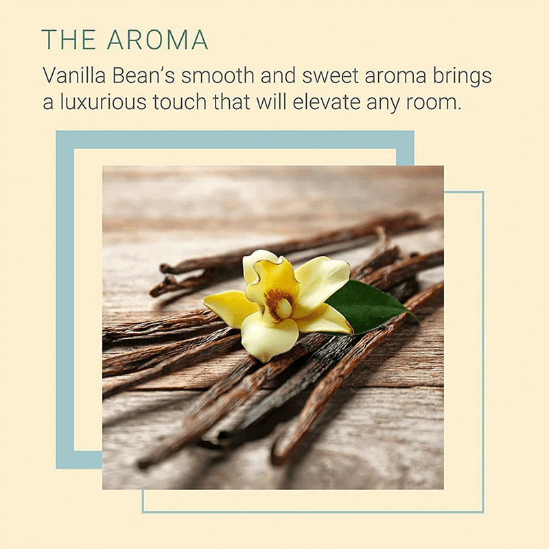 Reed Diffuser with Fragrance Solution