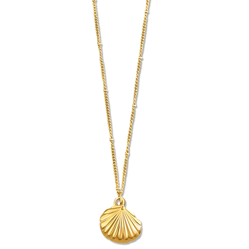 Georgina Shell Necklace