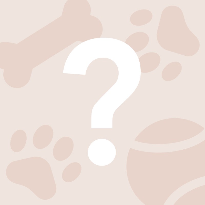 Pets Mystery Bundle Large Domestic