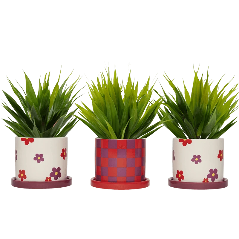 小物 Supreme 25SS Mini Planters (Set of 3) 小物 Supreme 25SS Mini Planters (Set of 3) SS25 Supreme Mini