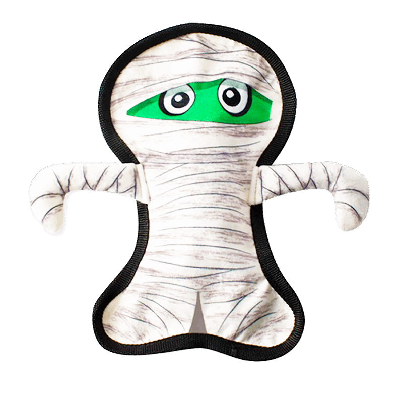 Fringe Studio Get Wrapped Up Durable Halloween Plush Dog Toy