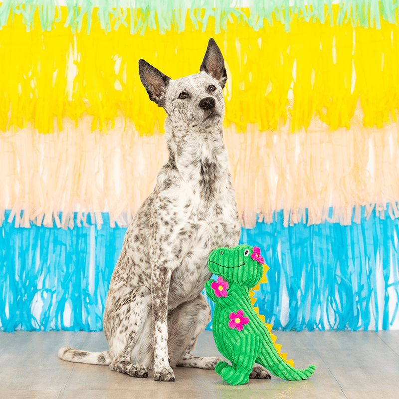 Thorny But Cute Dog Toy