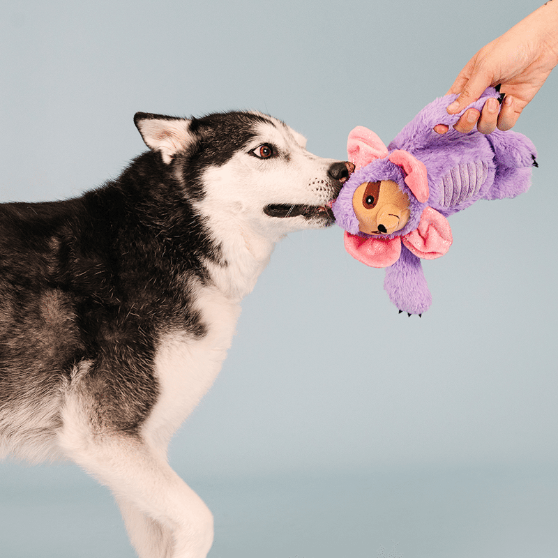I'll Grow On You Dog Toy