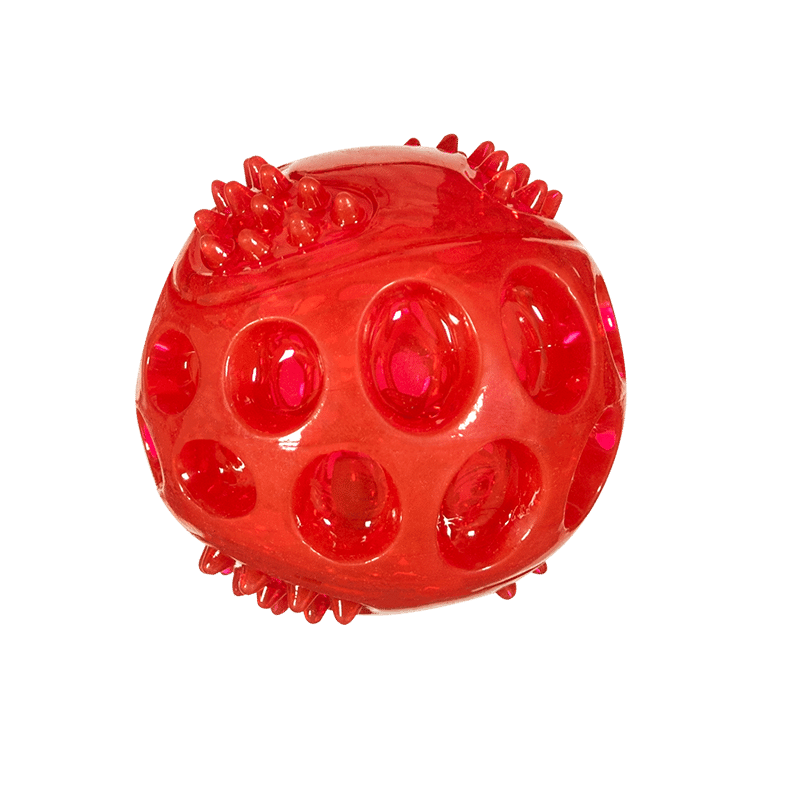 Chase N' Chomp Small LED TPR Ball