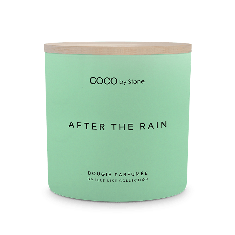 Smells Like The Outside After the Rain