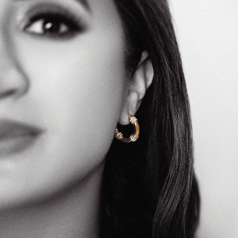 Stainless Steel Laila Hoops