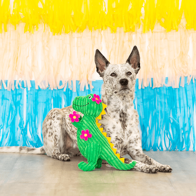 Thorny But Cute Dog Toy