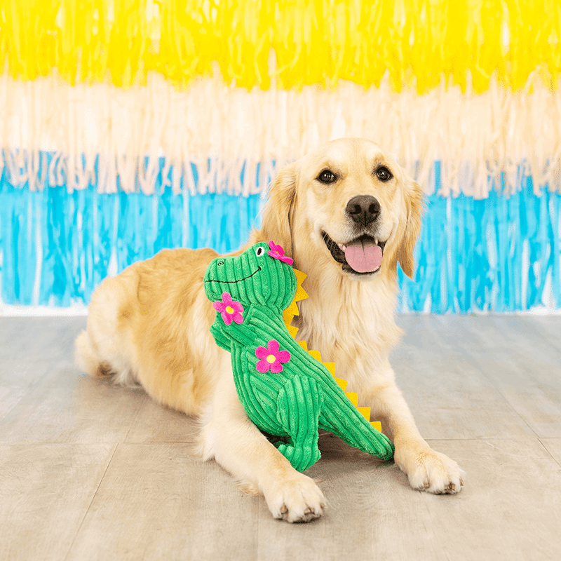 Thorny But Cute Dog Toy