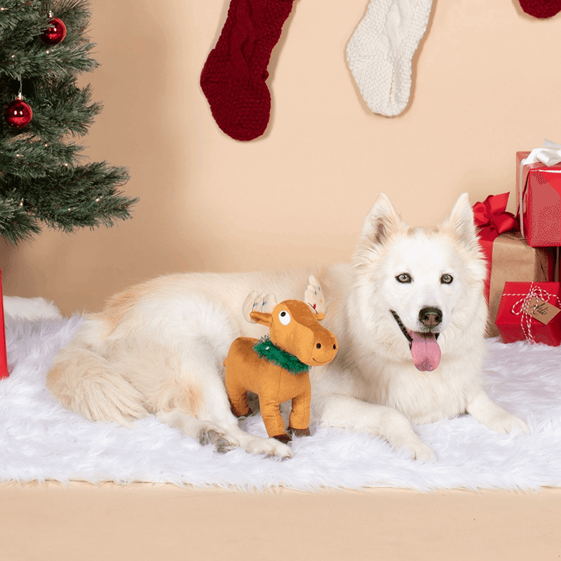 Merry Chrismoose