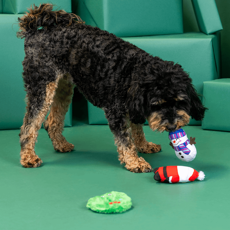 We Have Great Chemis-Tree Mini Dog Toy Set