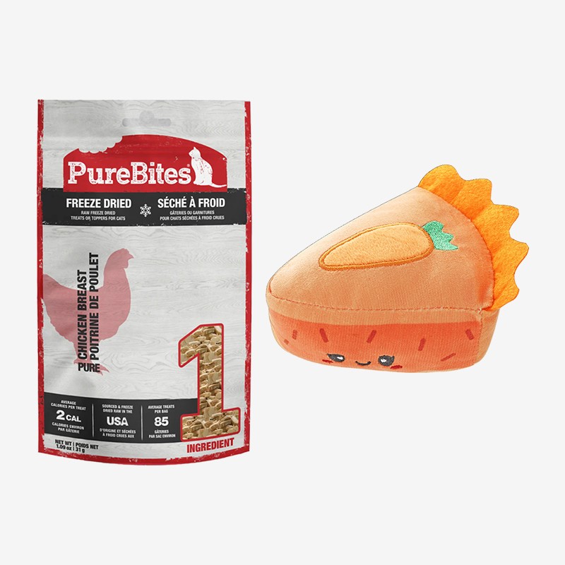 Feline Fun Bundle