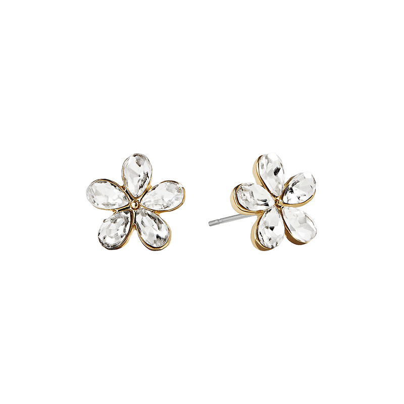 Stone Hoop and Flower Stud Set of 2 Earrings