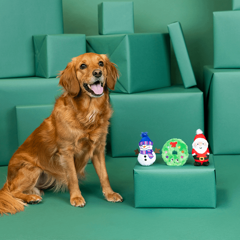 We Have Great Chemis-Tree Mini Dog Toy Set