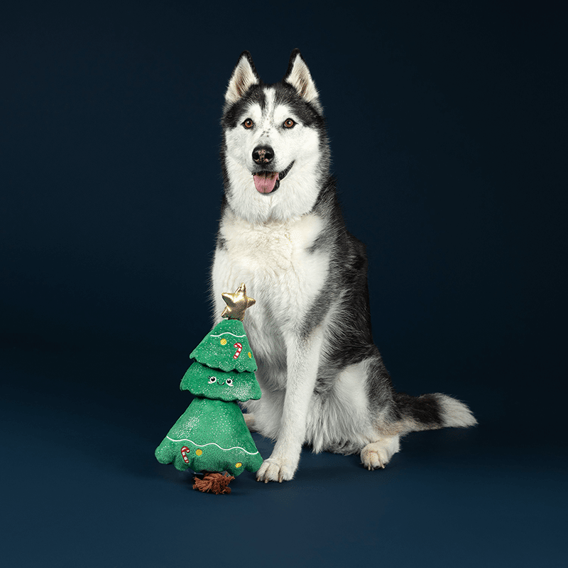 Fir Real Fun Ahead Plush Dog Toy