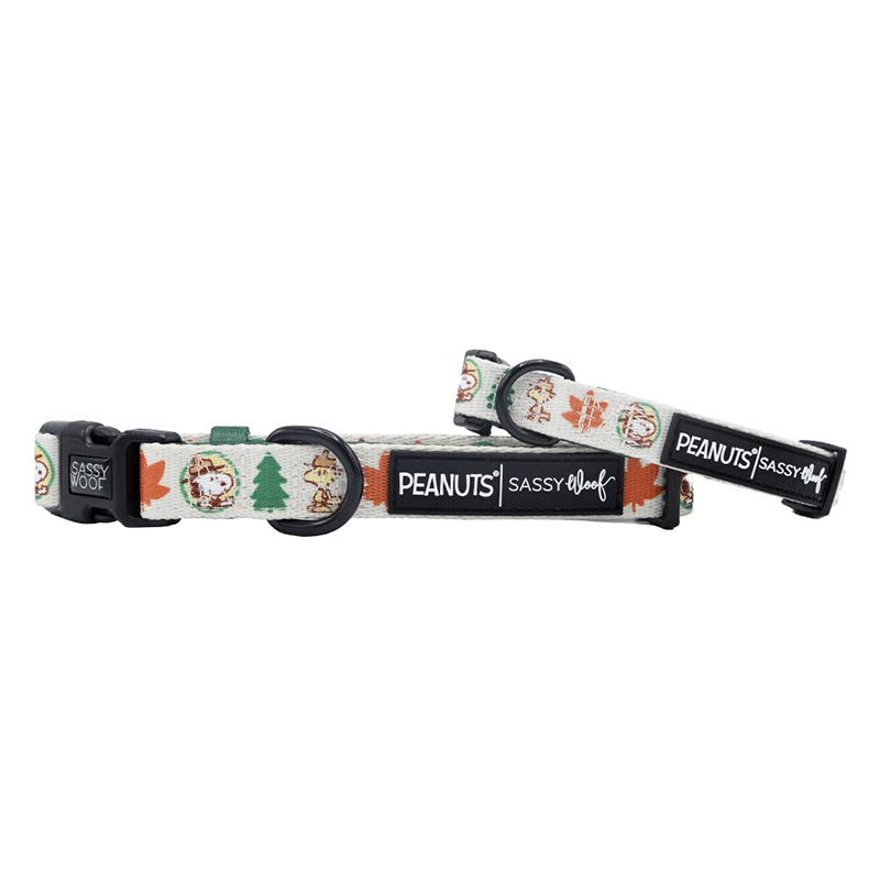 Peanuts Dog Collar
