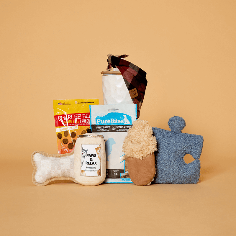 PupBox by FabFitFun (L/XL)