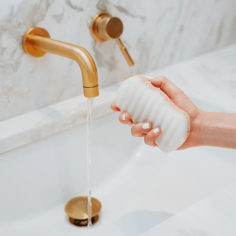 Konjac Walnut Shell Exfoliating Body Sponge