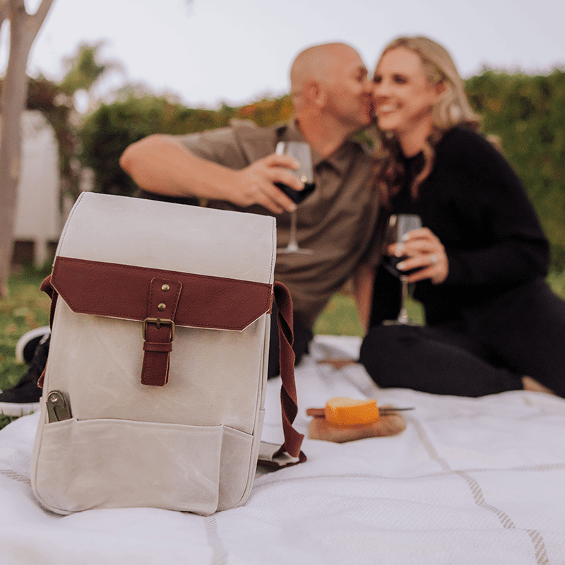 2 Bottle Insulated Wine Bag with Cheese Board & Knife Set