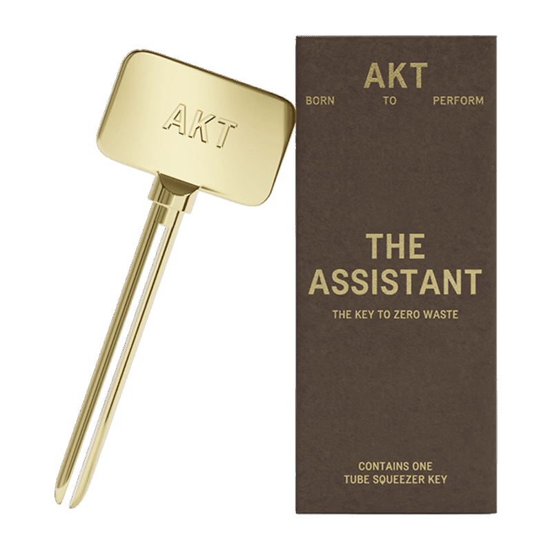 The Assistant
