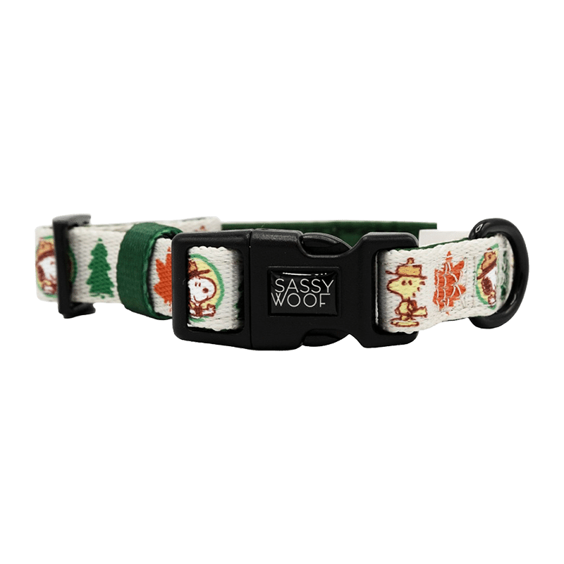 Peanuts Dog Collar