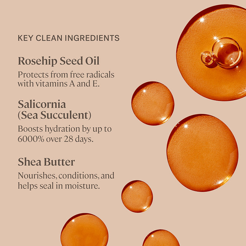 Balmy Tint - Lullaby