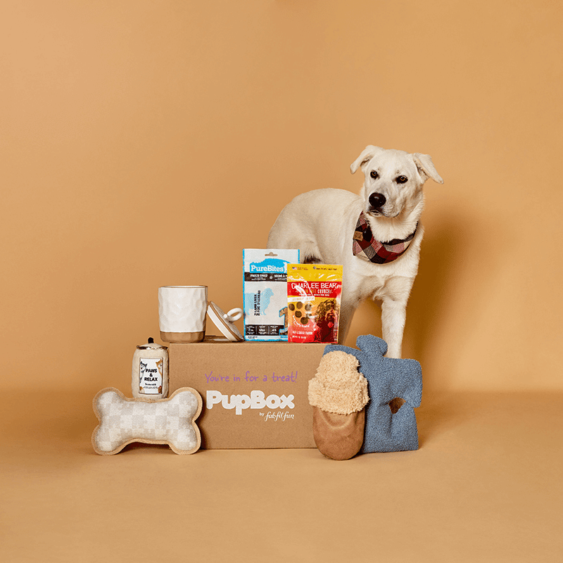 PupBox by FabFitFun (L/XL)