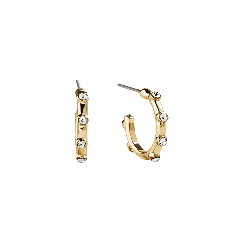 Hoop and Stone Drop Set of 2 Earrings