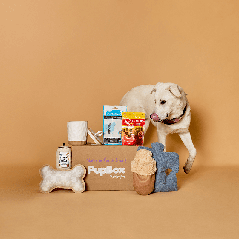 PupBox by FabFitFun (L/XL)