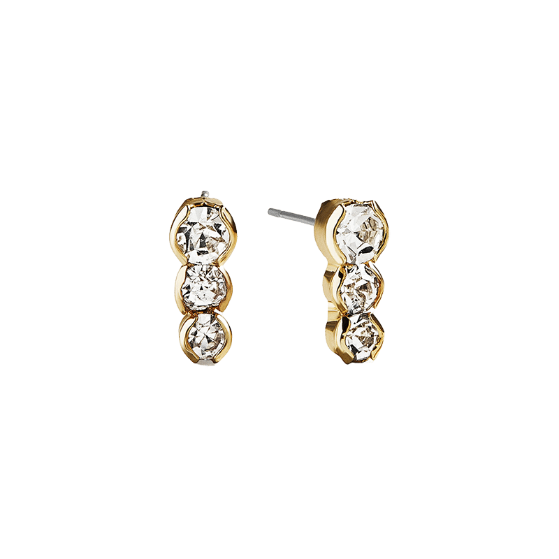Hoop and Stone Drop Set of 2 Earrings