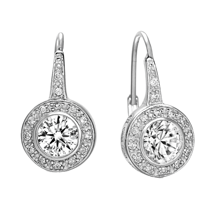 Stud Drop Euro Earring