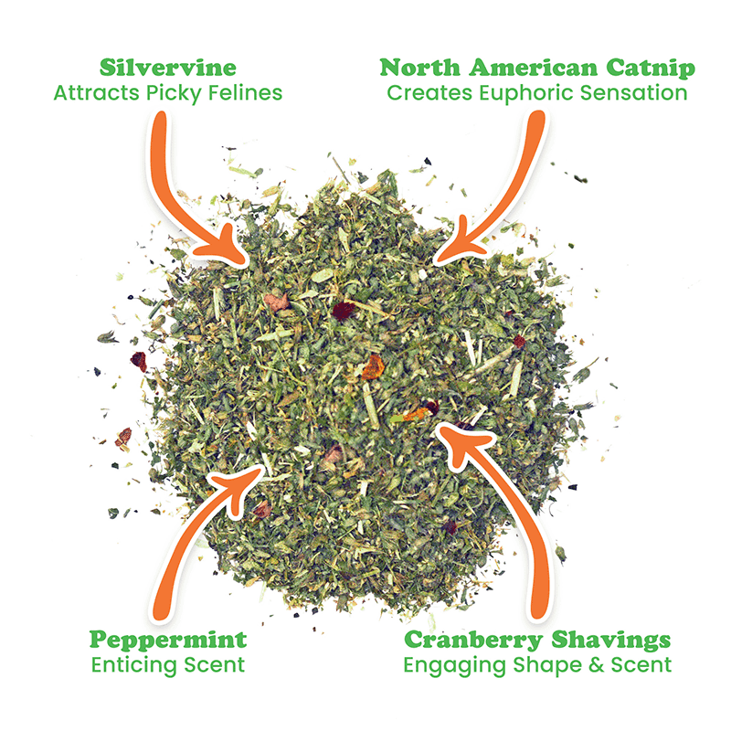 Winter Lift Catnip Blend