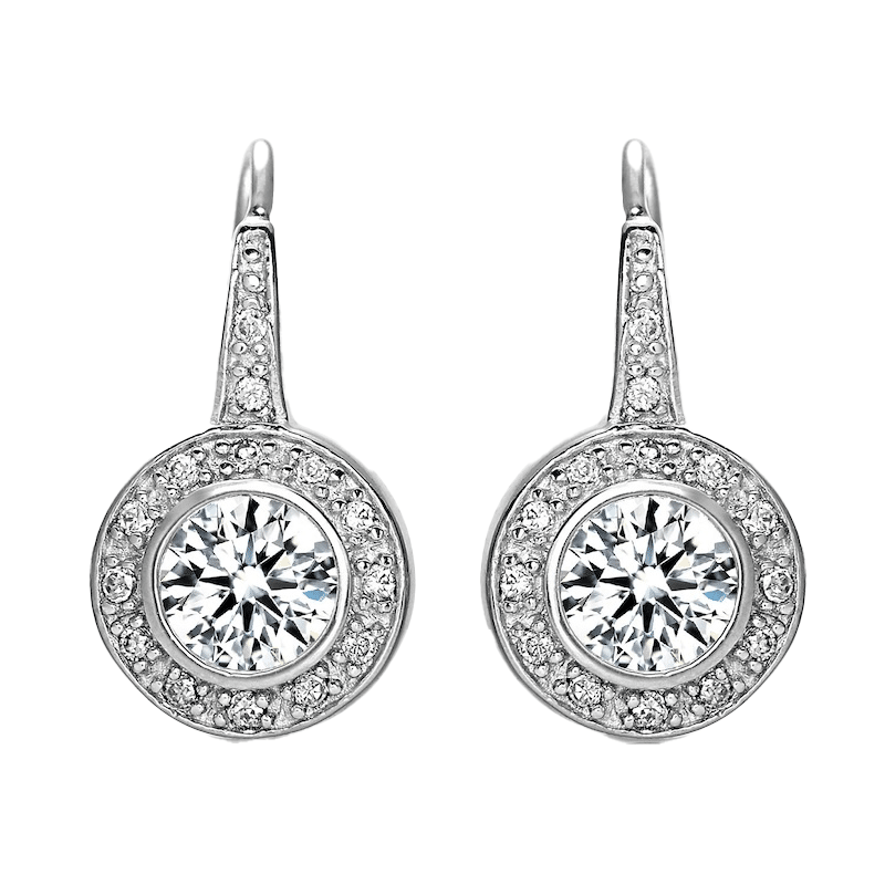 Stud Drop Euro Earring