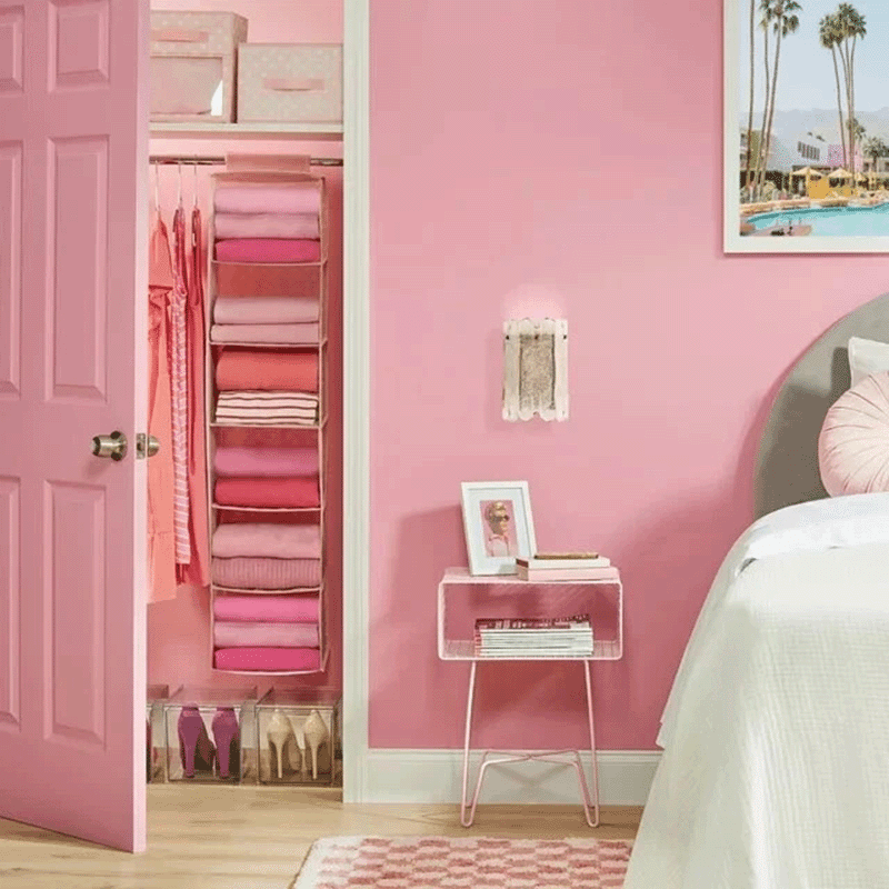 10 Section Closet Shoe Organizer (2 Pack)