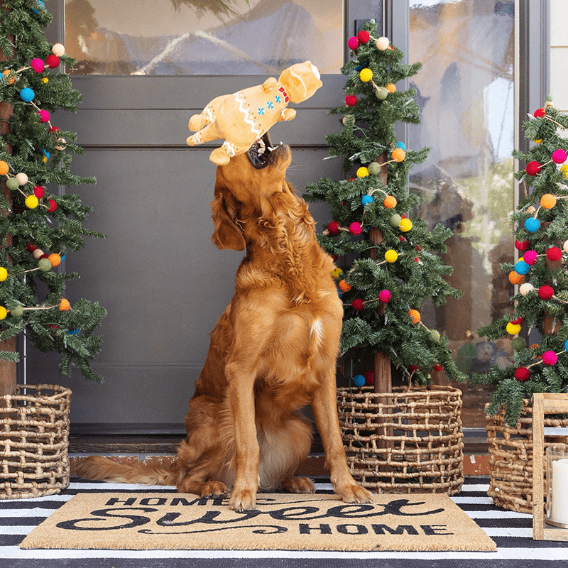 Cookie-Saurus