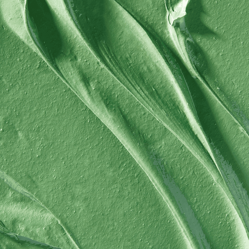 Wicked x Beekman 1802 Elphaba Lactic Acid Mud Mask