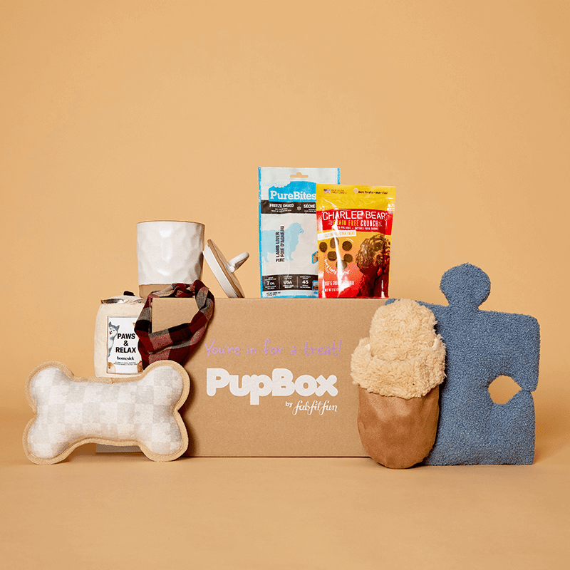 PupBox by FabFitFun (L/XL)