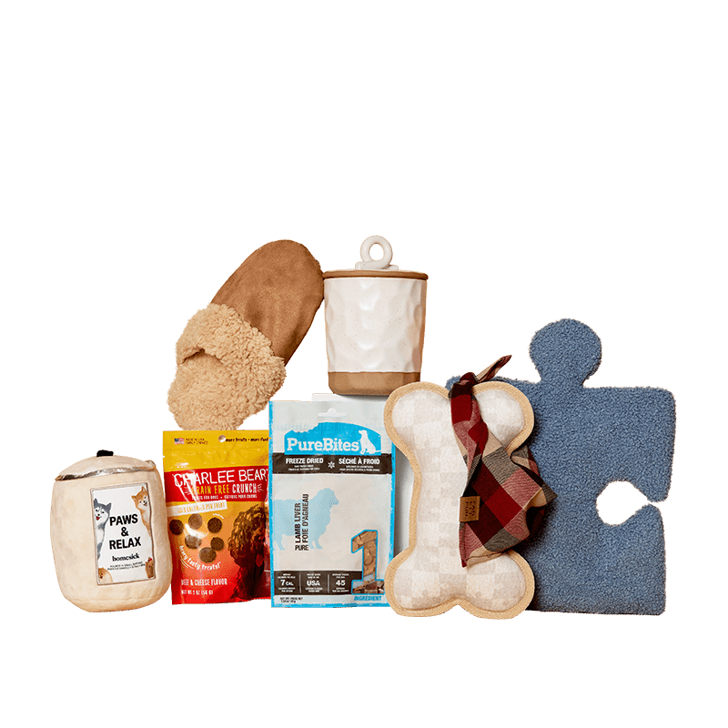 PupBox by FabFitFun (L/XL)