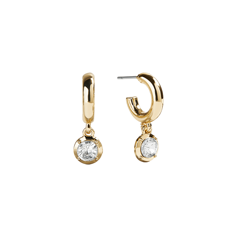 Stone Drop and Pisa Hoop Set of 2 Earrings