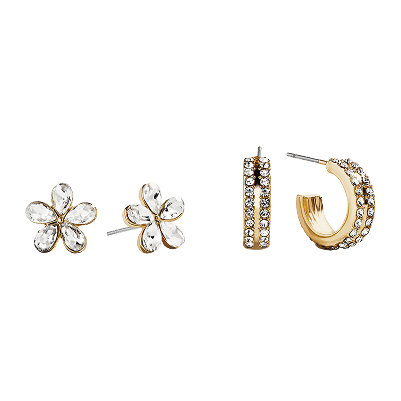 Stone Hoop and Flower Stud Set of 2 Earrings