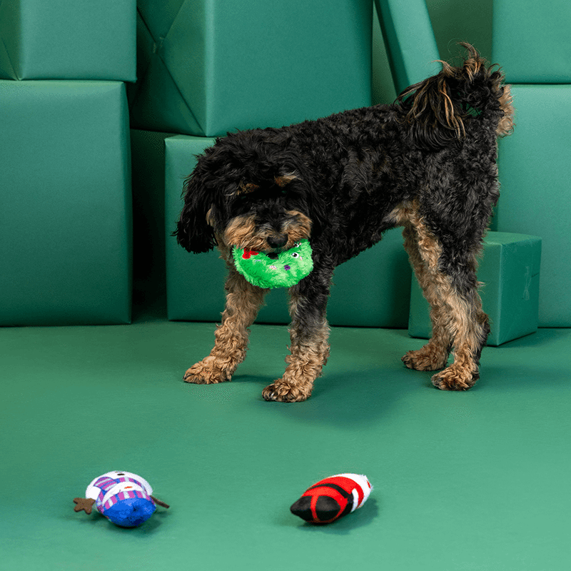 We Have Great Chemis-Tree Mini Dog Toy Set