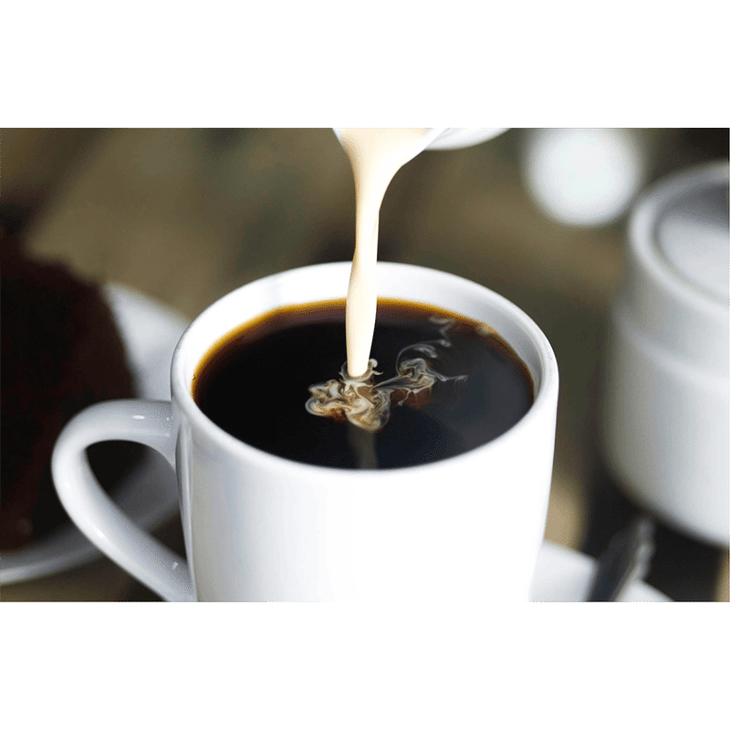10 Cup Coffee Maker